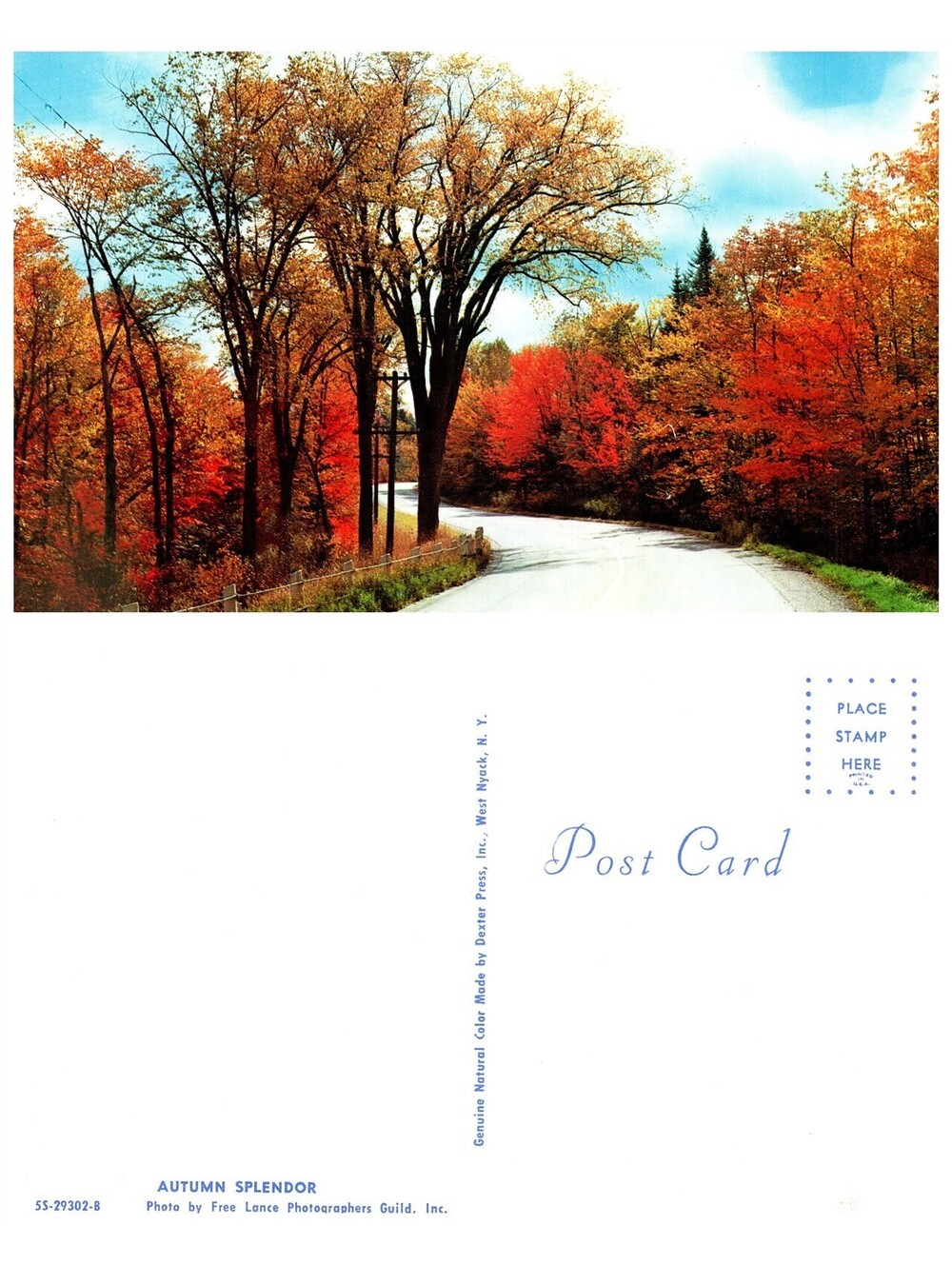 Vintage Postcard Vermont Autumn Splendor Tree Lined Country Road Fall Old Stock